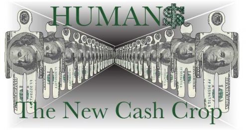 Humans the new cash crop